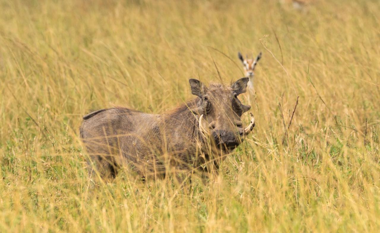 Ngorongoro Lodge Member Of Melia Collection - The Leading Hotels Of The World Экстерьер фото