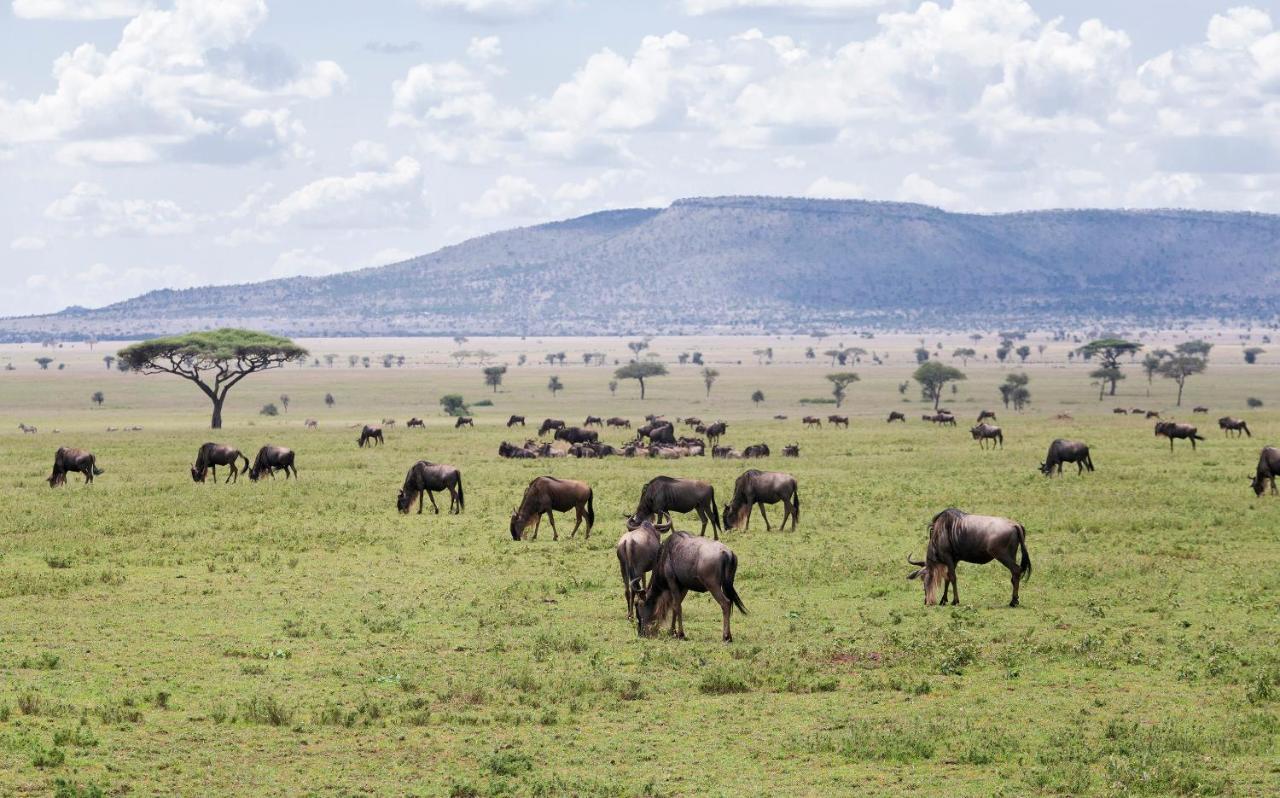 Ngorongoro Lodge Member Of Melia Collection - The Leading Hotels Of The World Экстерьер фото