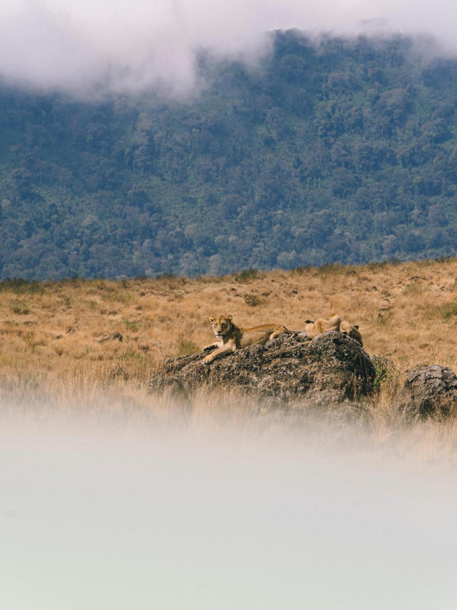 Ngorongoro Lodge Member Of Melia Collection - The Leading Hotels Of The World Экстерьер фото