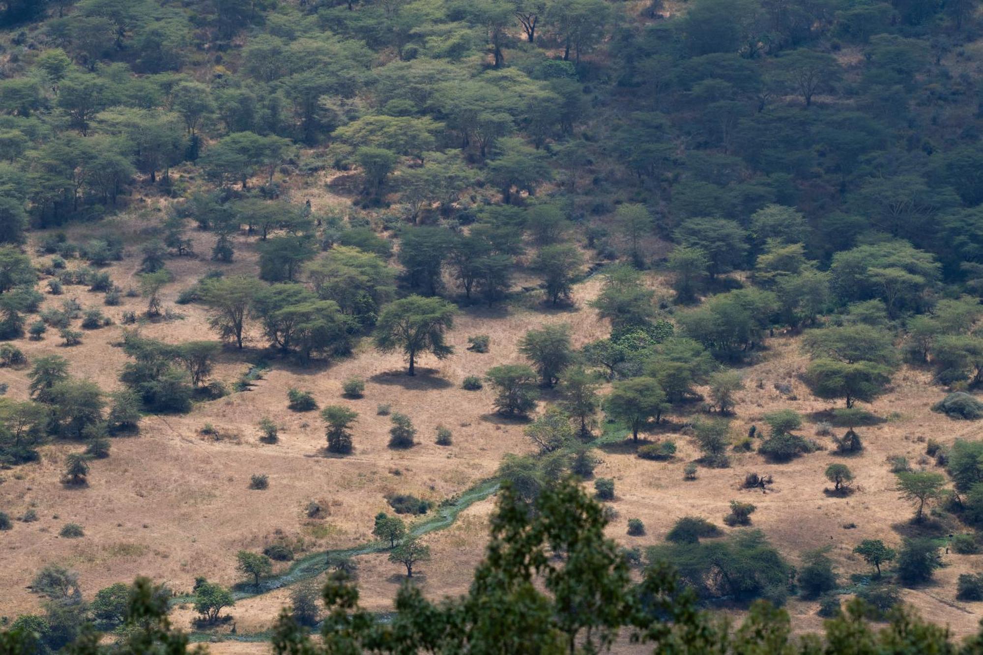 Ngorongoro Lodge Member Of Melia Collection Экстерьер фото