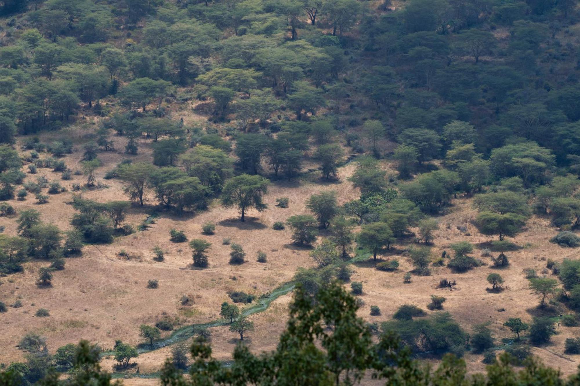 Ngorongoro Lodge Member Of Melia Collection - The Leading Hotels Of The World Экстерьер фото